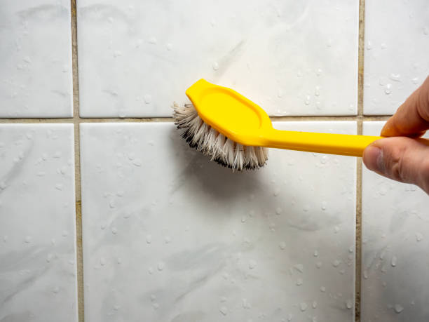 Best Residential Mold Remediation in Twin City, GA