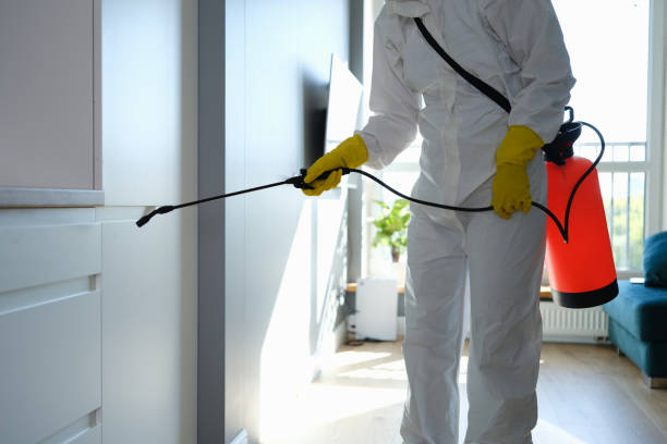 Best Bathroom Mold Remediation in Twin City, GA